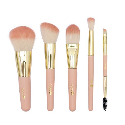 Kit X5 Brochas Mini Estándar Trendy