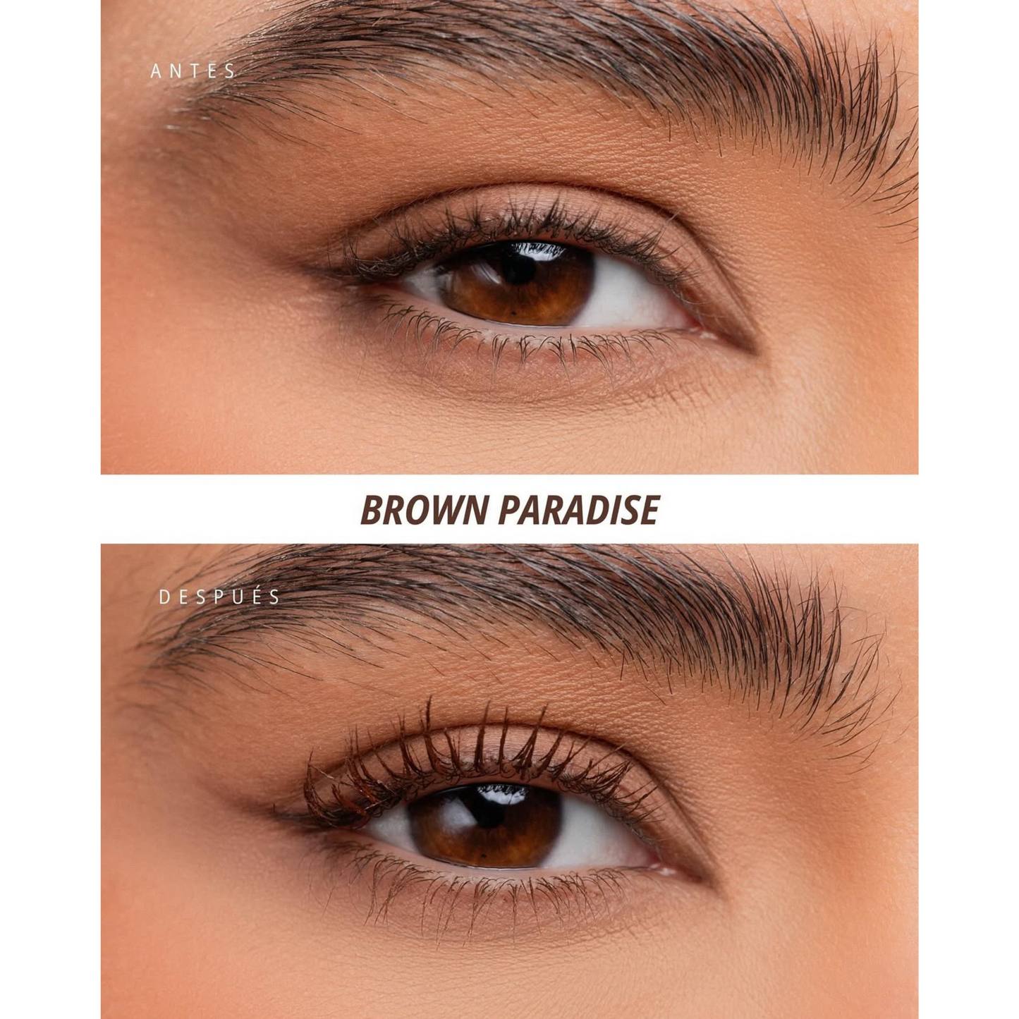 Pestañina Café Brown Paradise Ani-K