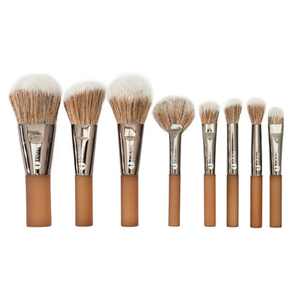 Kit X8 Brochas Café Trendy